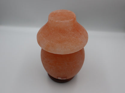 Natural Himalayan Salt Lamp